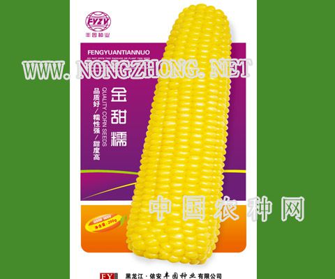 金甜糯